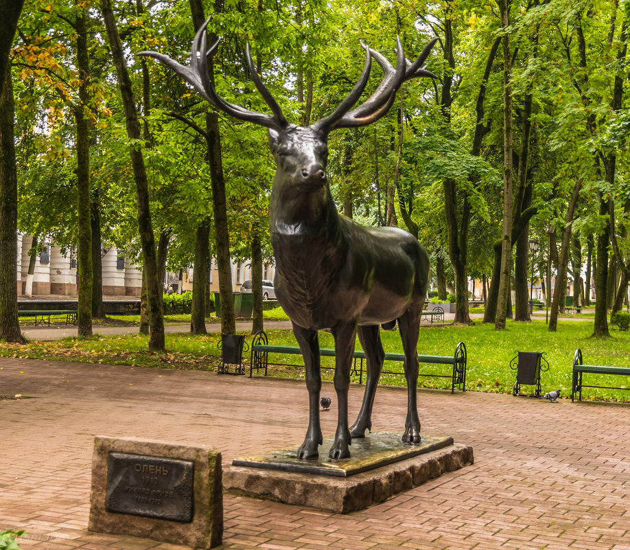 Фото Смоленского Парка