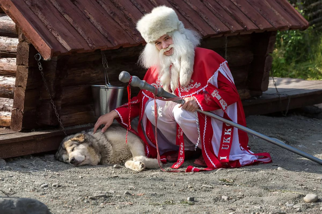 Хаски Петрозаводск Чална